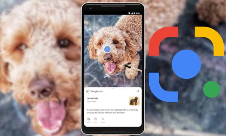 Google Lens Beta Update Adds Built-in Gallery to Quickly Pull Up Screenshots