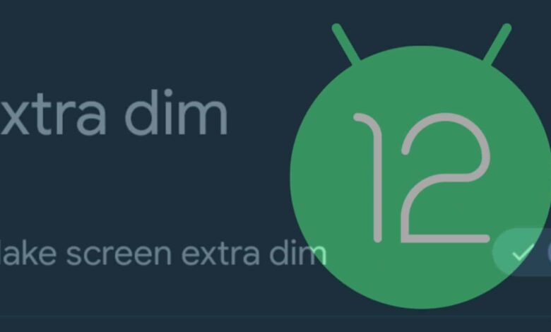 Android 12 Developer Preview 3 Gets 'Extra dim' Feature to Reduce Screen Brightness