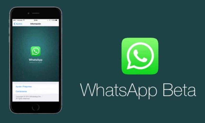 WhatsApp Beta for Android Allows Forwarding Stickers With a New Shortcut Button