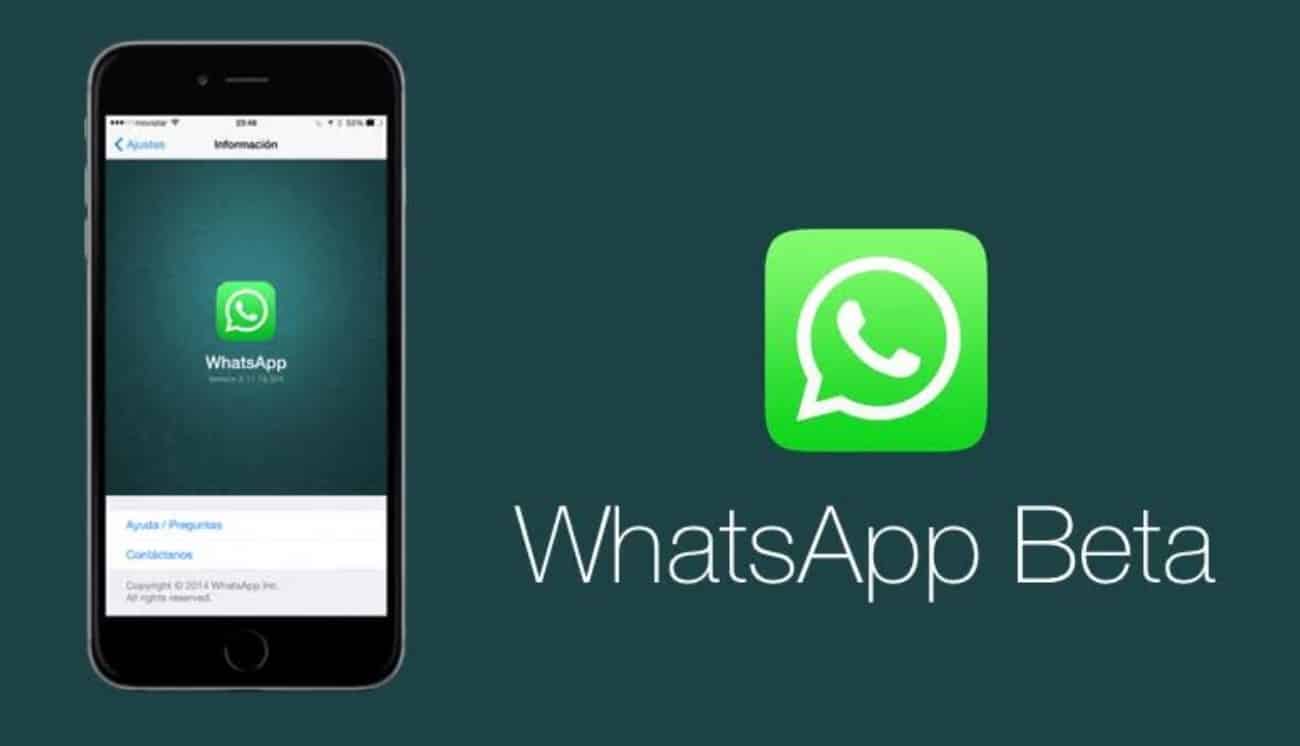 WhatsApp Beta for Android Allows Forwarding Stickers With a New Shortcut Button