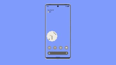 Google Pixel 6 and Pixel 6 Pro getting December 2021 patch update