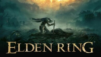 Elden Ring Wiki Cover Picture